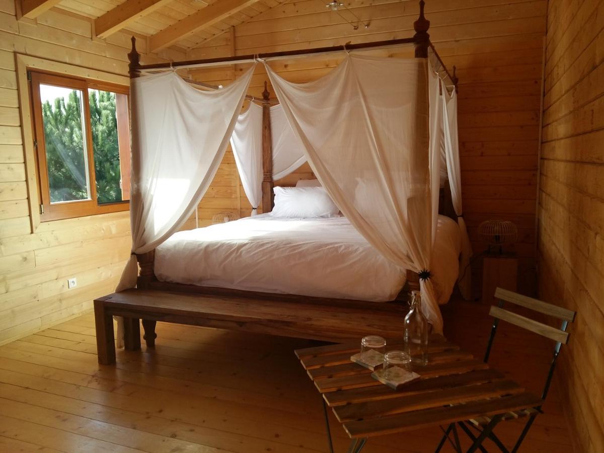 Ecolodge Bellevue Алби Екстериор снимка